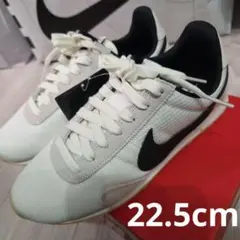 Item thumbnail for item 4bad6c64-470f-446b-a651-456b4f21b145