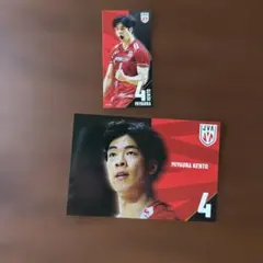 宮浦健人選手 宮汁ステッカー - メルカリ