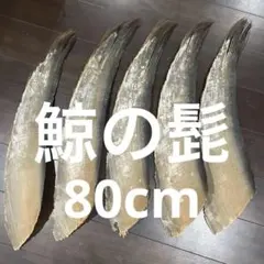 2025年最新】クジラ 髭の人気アイテム - メルカリ