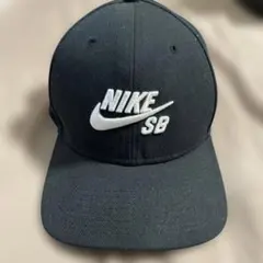 NIKE SB PRO DRI-FIT ベースボール メッシュキャップ 2セット - メルカリ