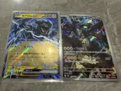 Nのゼクロム AR ゼクロムex セット