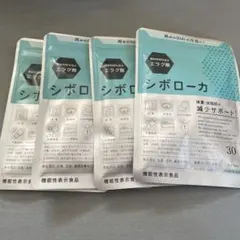 Item thumbnail for item 9013ecfa-92cf-40ab-a3a5-9a8c1c1e754b