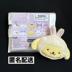 ポムポムプリン×うさぎ ヘアクリップ ちいかわ×サンリオ