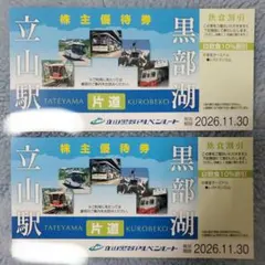 2026年最新】アルペン 株主優待券の人気アイテム - メルカリ