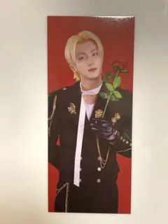 ENHYPEN WORLD VAMPIRE BASIC ver ジョンウォン