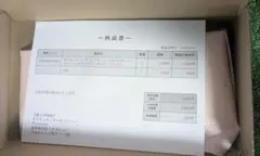 新品未開封 ポケモンカードゲーム スペシャルBOXヒロシマ