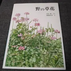 Item thumbnail for item dc34f71b-049b-4462-94a8-ae87d8aff8d4