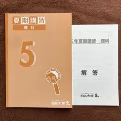 2026年最新】四谷大塚 夏期講習 5年の人気アイテム - メルカリ