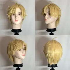 忍たま乱太郎 忍たま 斉藤タカ丸 コスプレ ウィッグ - メルカリ