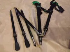 Item thumbnail for item 255f36d1-6b9b-48f9-b8a4-9e43d5a201d4