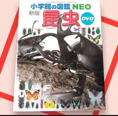 [新版]　小学館の図鑑NEO　昆虫
