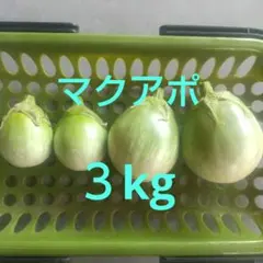 2025年最新】マクアポの人気アイテム - メルカリ