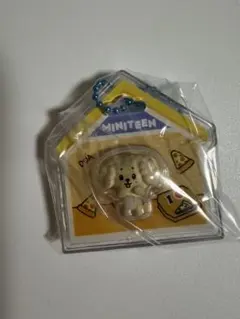SEVENTEEN MINITEEN パッケージチャームのサムネイル