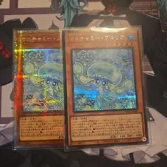 マルチャミープルリア2枚セット