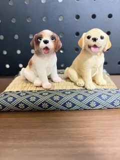 畳の上ワンコ