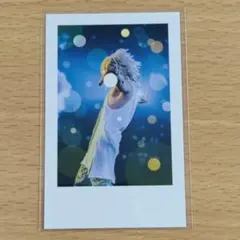 いれいす　実写チェキ　悠佑　ゆうすけ