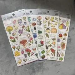 大人の図鑑シール　花編　鉱物編　日本画の動物編　貝殻と珊瑚編