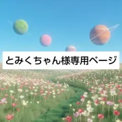 とみくちゃん様専用ページ☆
