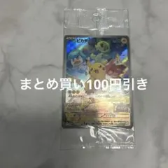 餡ころころもち様 リクエスト 2点 まとめ商品