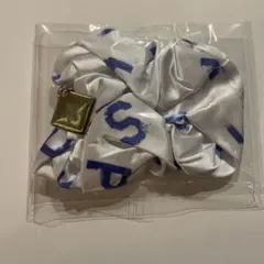 Item thumbnail for item ed3ca620-aefb-49c8-b39c-e0bbbaae406c