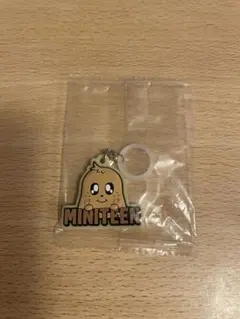 MINITEEN めじるしアクセサリー ミンギュ