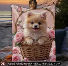 Item thumbnail for item 673928e4-8e38-43c4-a2e4-a49ad71bdad1