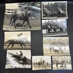 Item thumbnail for item cab5ee2d-e54c-4b6b-a44e-a144e81e2291