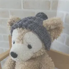ダッフィー　コスチューム　ニット帽　グレー