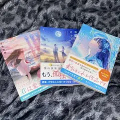 Item thumbnail for item e9e2ba75-18d2-4cad-b7e6-7555394c4cf1