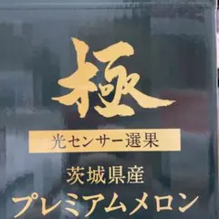 5 糖度18度以上！茨城県旭村産プレミアムメロン極アンデス2Lサイズ1箱5