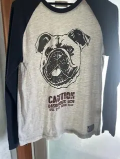 Item thumbnail for item 10a65b5e-31a0-40d0-89c3-8e5f57655a92