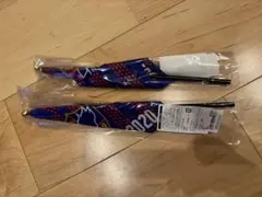 FC東京　ミニフラッグ　2本セット