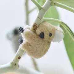 【 salut! 】どこでもコアラ　ベージュ