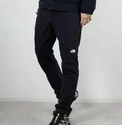 THE NORTH FACE アルパインライトパンツ　L