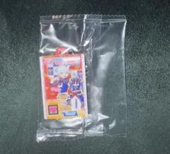 アイカツ！　プリパラ　だれでもアクリルチャーム　2 紫京院ひびき