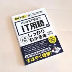 ビジネスで役立つIT用語がこれ1冊でしっかりわかる本