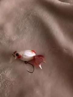 すぅ様専用金魚ルアー