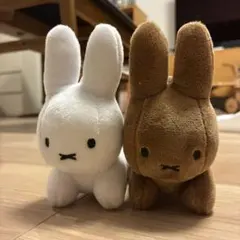 Item thumbnail for item be68242b-2e33-4964-ae8c-cefc51773eba