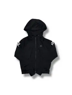 Item thumbnail for item 9670cb9a-9c54-48a0-aaf7-fc9ba5dae4a1