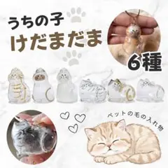 メモリアル うちの子のけだまだま 6個セット 猫 キーホルダー コンプリート