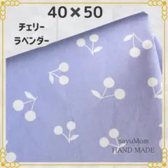 40×50 ランチョンマット 給食ナフキン ランチクロス ランチマット 44