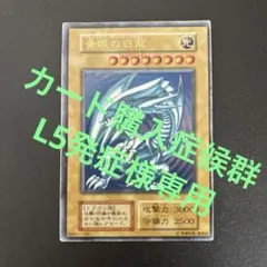 カード購入症候群L5発症様専用