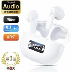 新品未使用 ワイヤレスイヤホン bluetooth 5.3 ノイズキャンセリング