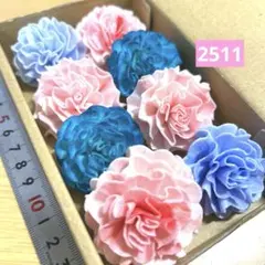 ソラフラワー　2511