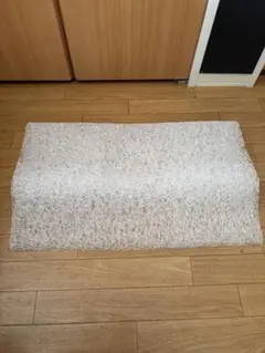 2ヶ月使用　ブレインスリープピロー　ネックフィット(NEW WAVE)