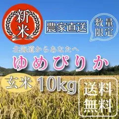 R8年産】【新米】【数量限定】ゆめぴりか 10kg白米 - メルカリ