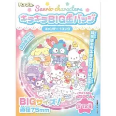Sanrioキャラクター BIG缶バッジ 2個セット