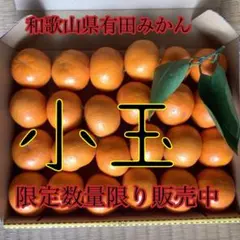最終時期限定一名様 味濃く甘〜いみかん❤️有田みかん❤️20~24個❤️1