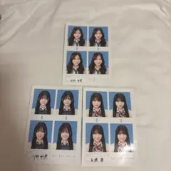 세주 증명 사진 다나카 츠요미 · 나가세 아오이 · 카와노 아키아 3 점 세트