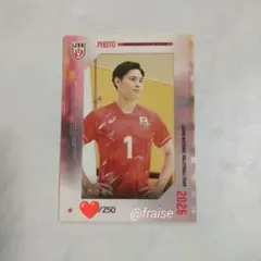 バレーボール男子日本代表 西田有志 生写真カード フォト